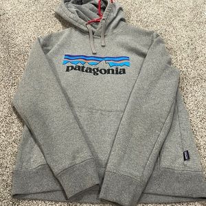 Mens Patagonia hoodie in great condition size M
